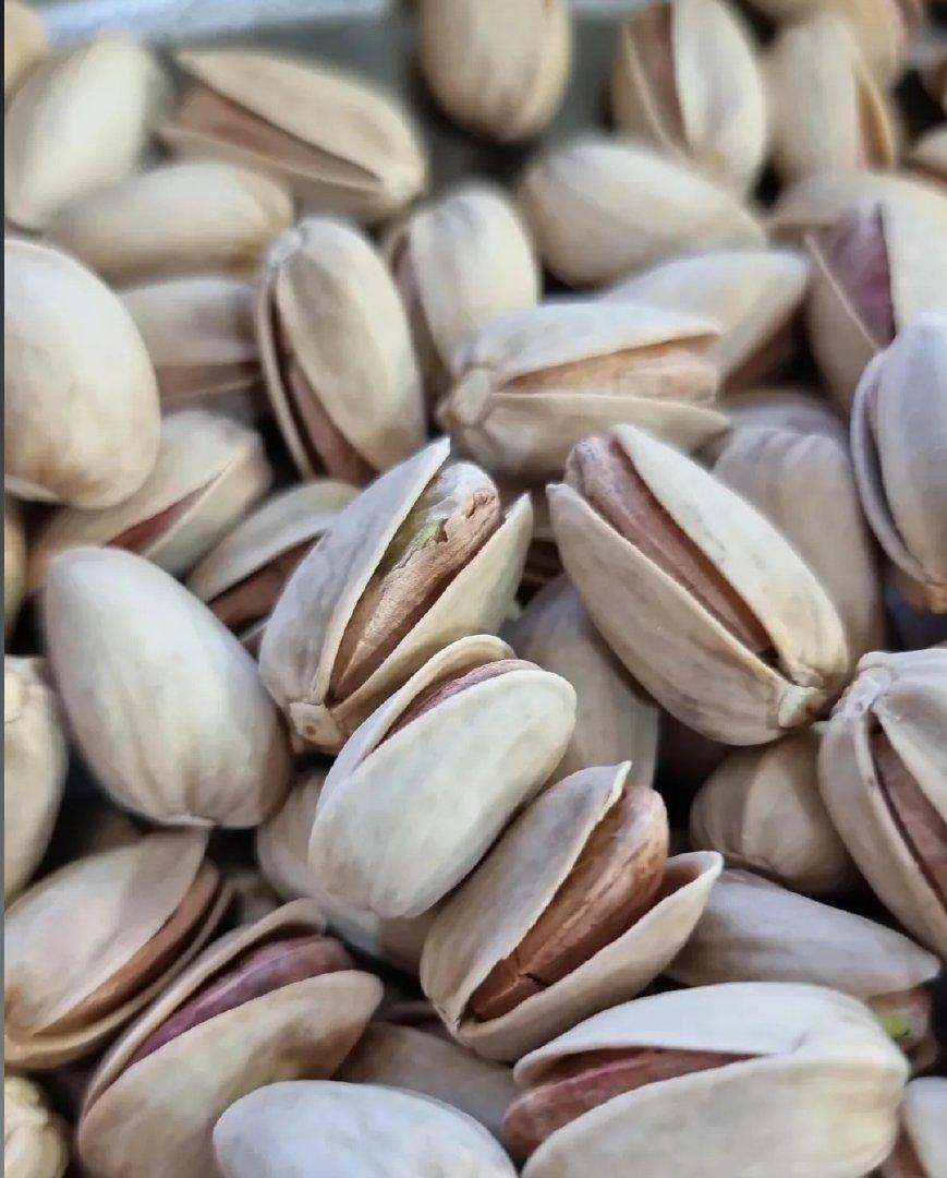 Persian Pistachios 3