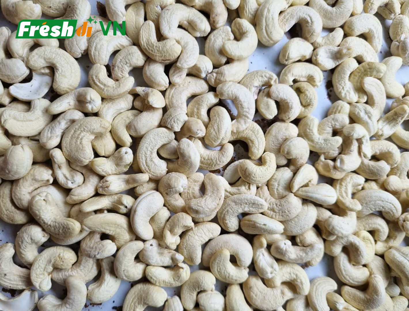 Top 8 Cashew Nuts suppliers in Vietnam: Capabilities & Buyer Fit - 7