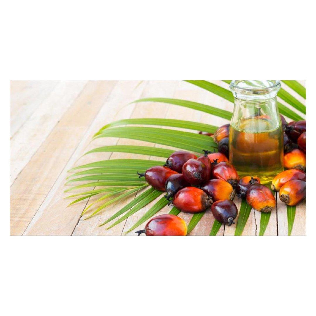 Top 7 verified Edible Oils suppliers in Thailand - 3