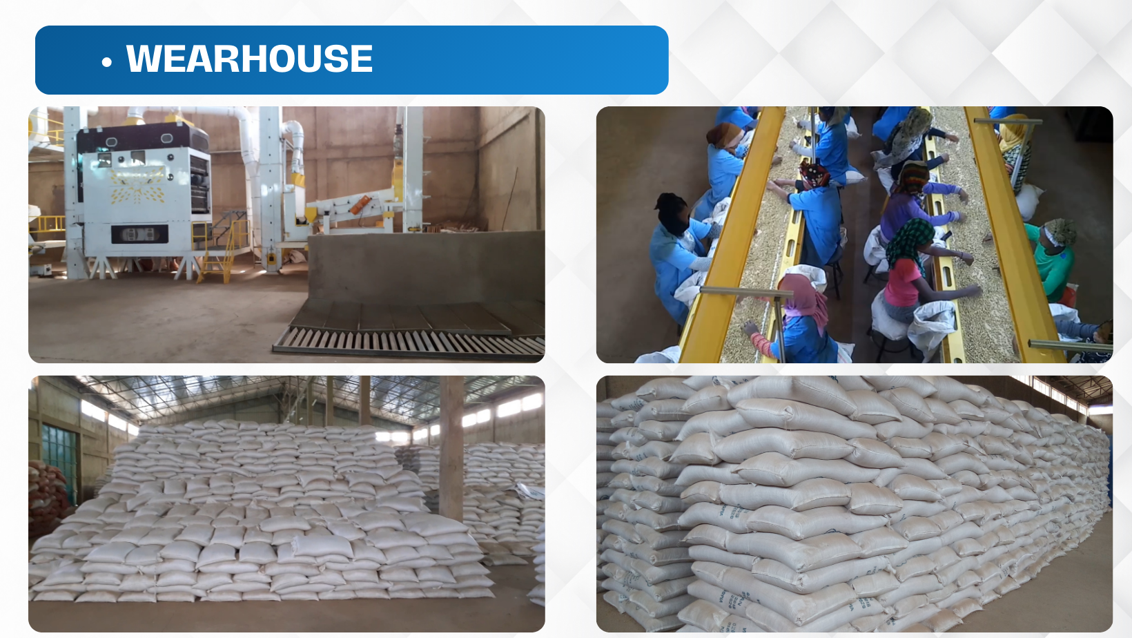 2024 New Crop Ethiopian Origin Desi Chickpeas Premium Quality Bulk Dried Machine Cleaned and Polished Kabuli Type