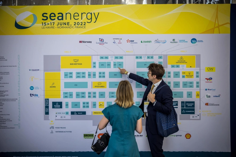 SEANERGY Spotlight: B2B Essentials - 2