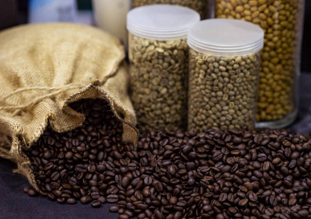 Your Expert Guide to Procuring Top-Tier Coffee Beans: Top 3 Coffee Beans Suppliers in United Arab Emirates in August 2025