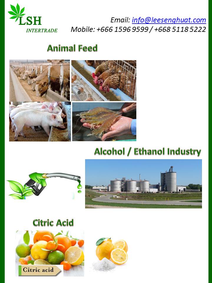 Cassava Tapioca Chips Thailand High Quality Best Price For Alcohol Industry Animal Feed