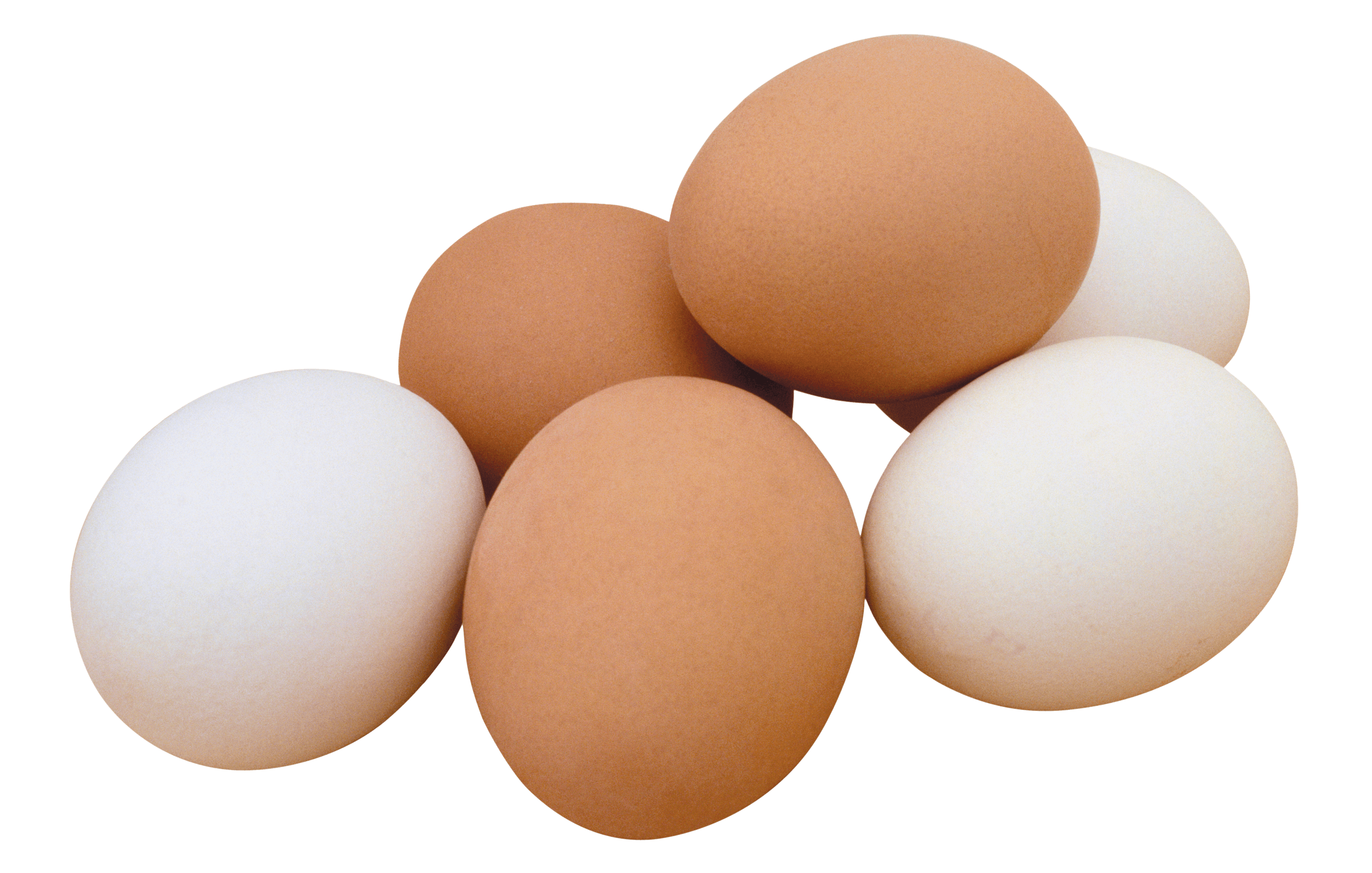 High Quality Pure Natural Fertile Chicken Table Eggs Fresh Brown and White Hatching Eggs Direct From Farm