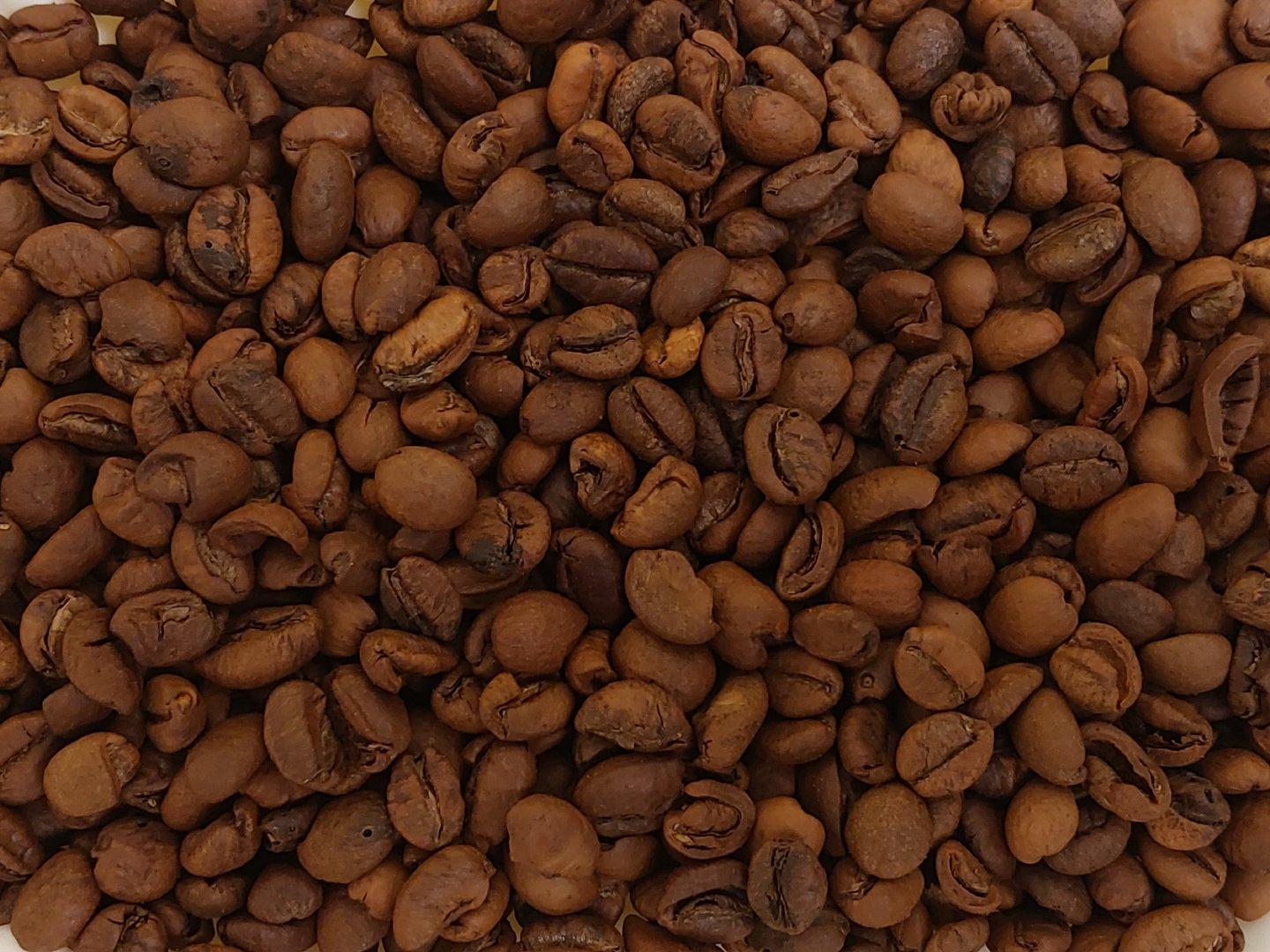 Bencoolen Arabica Coffee