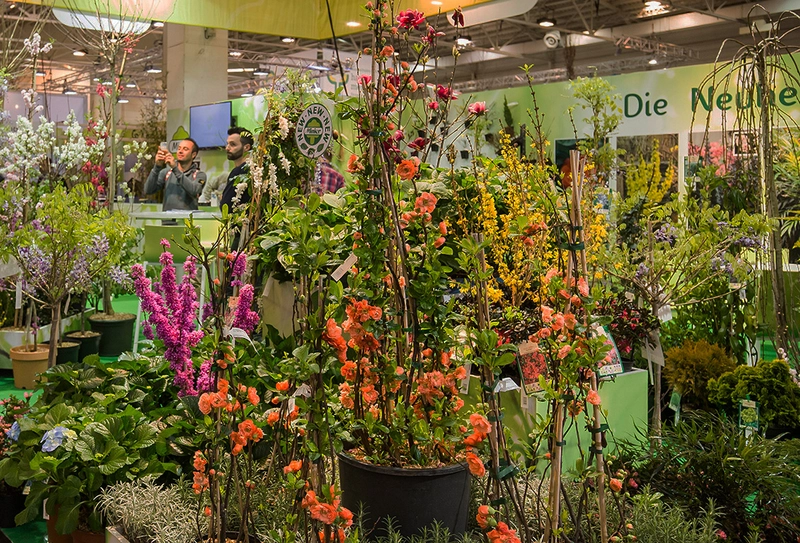 International Trade Fair for Plants Spotlight: B2B Essentials - 2