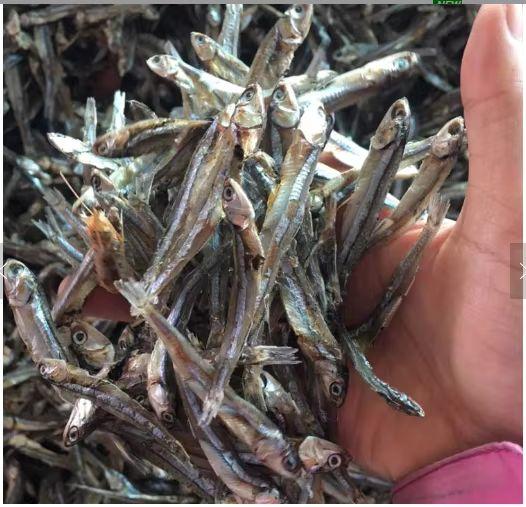 Dried Anchovy Fish Shelf Life 2 YEARS Place of Origin THAILAND Dried Anchovy Fish Delivery Time 15-30 Days Dried Anchovy Fish Head Option With Head Or Without Head