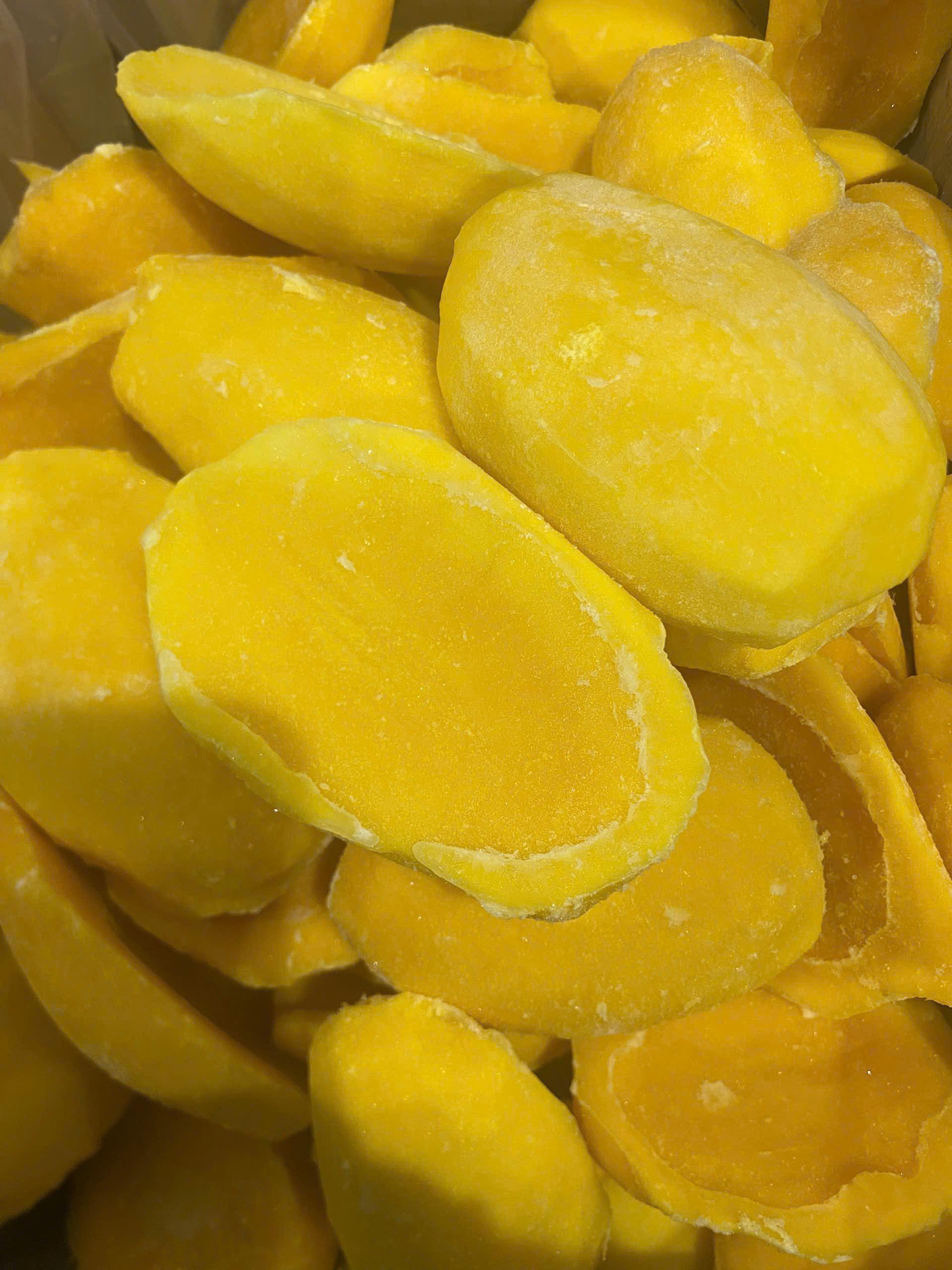 Top 7 verified Mango suppliers in Vietnam for global buyers - 4