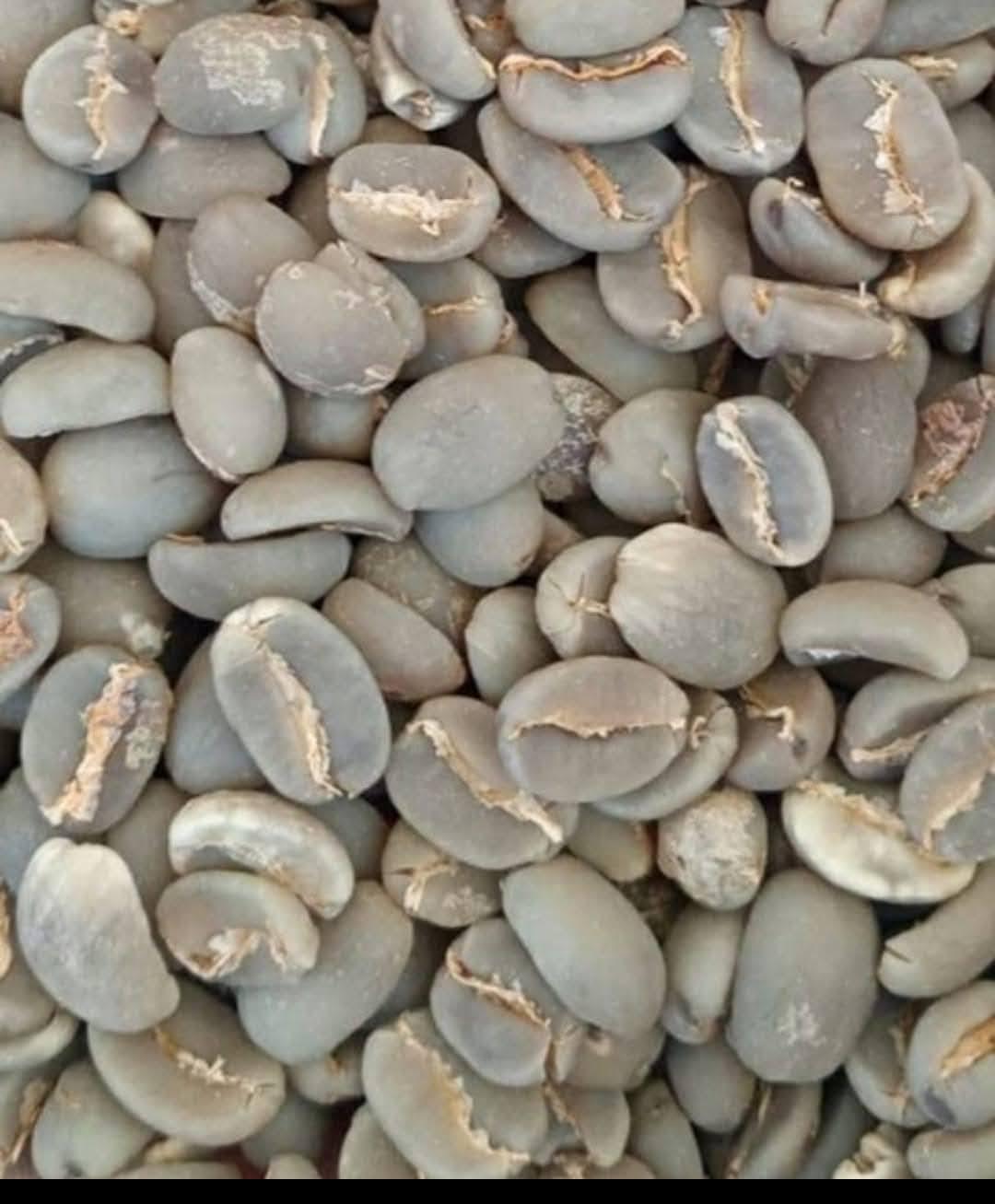 Arabica Beans - 1