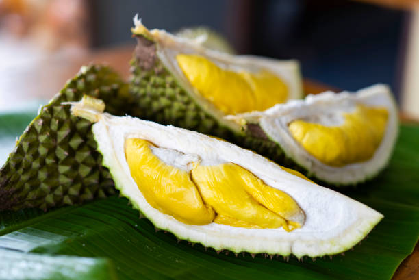 Top 9 Durian Suppliers in Brazil in Week 12 of 2025