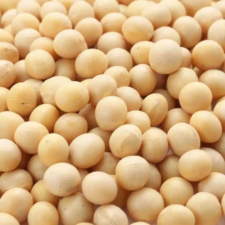 Get to Know the Top 4 Soybean Suppliers in Brazil - 2