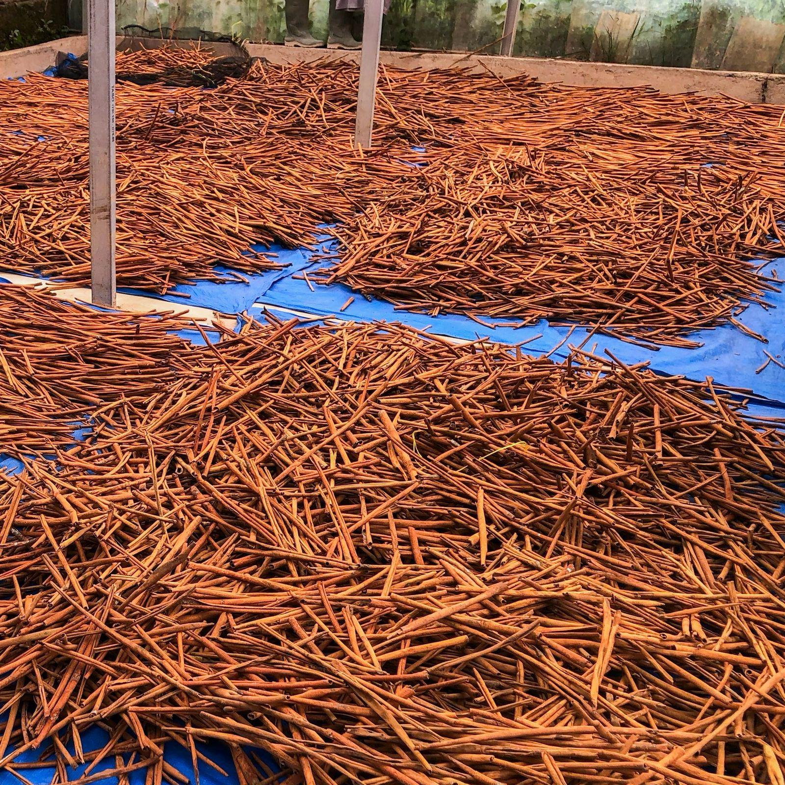 Cinnamon Sticks Image 3