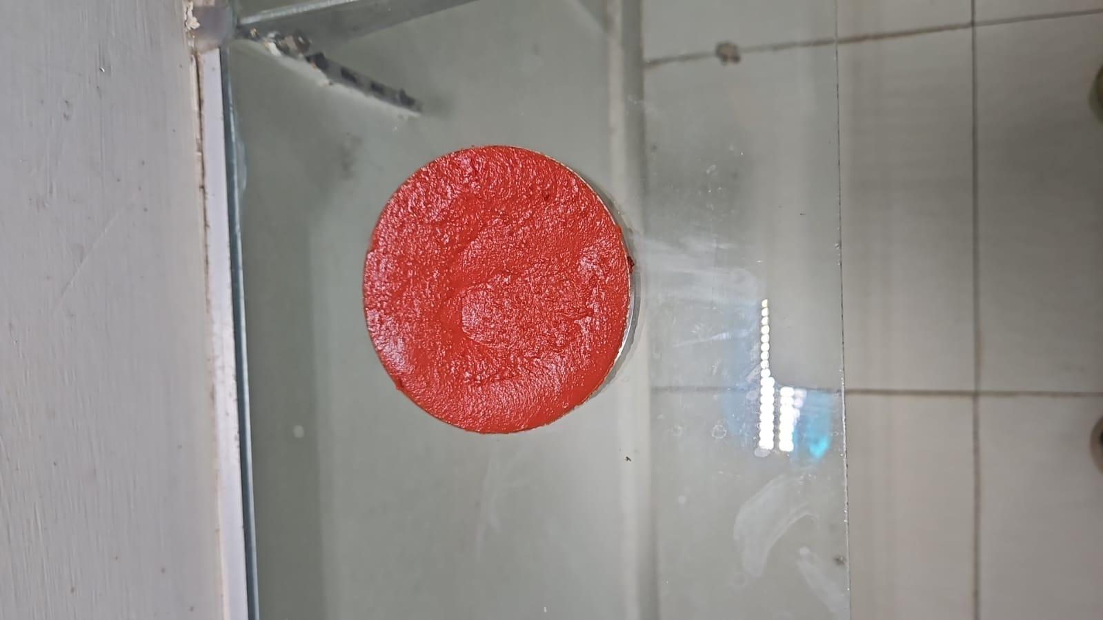 Tomato Paste