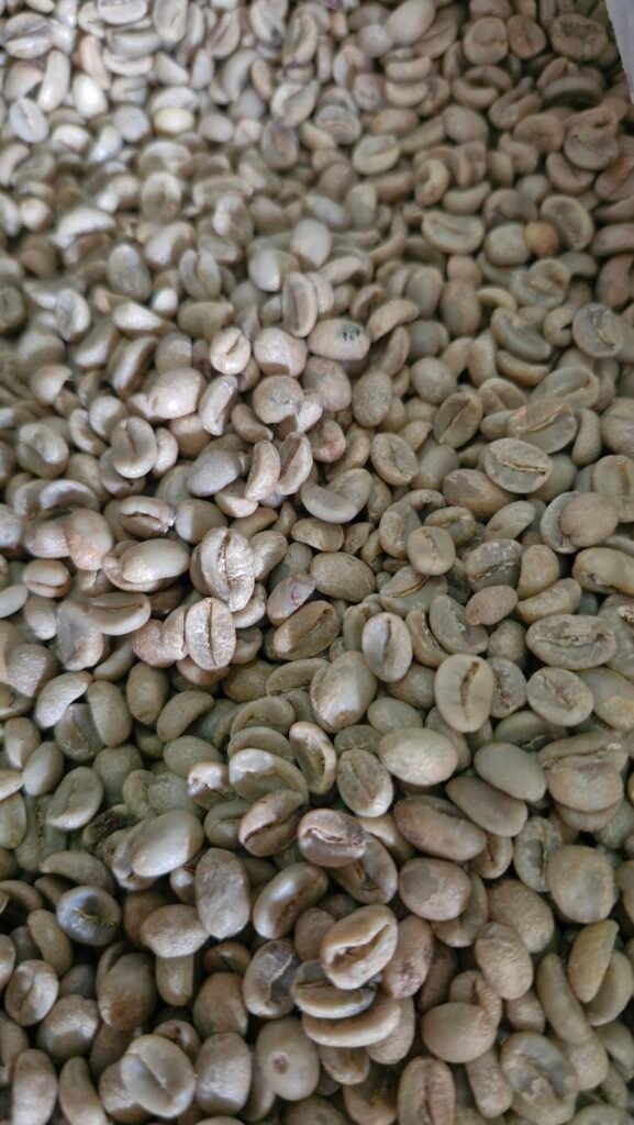 Coffee Cherries Indonesia
