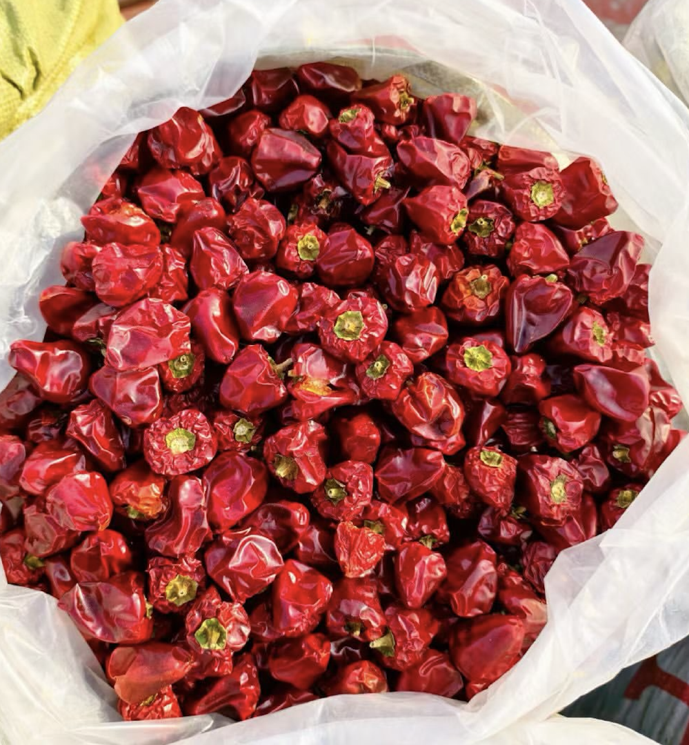 Buy Fresh Red Chilli Peppers – Vibrant, Hot & Export Quality 15kg Reliable Quality Chilli for Global Markets