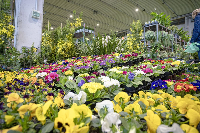 Discover ORTO GIARDINO: B2B Event Guide - 2