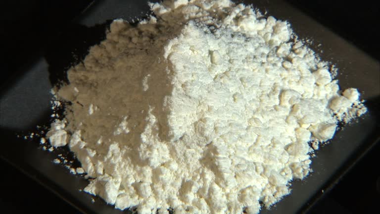 Top 7 Starch Suppliers in United States in Year 2025