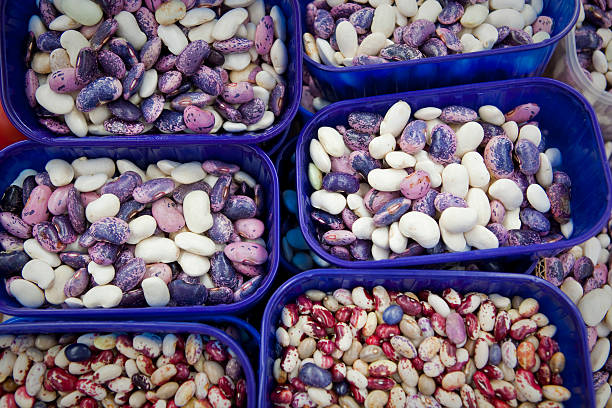 Top 9 Beans Suppliers in Kenya in July 2025: Urgent Market Update & Strategic Insights