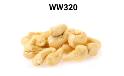 20ae4a896907438ab1047366f5c85e0e