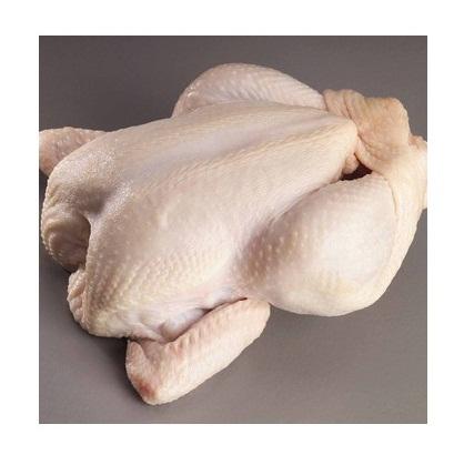Premium Grade Fresh Frozen Chicken in a Best Rate
