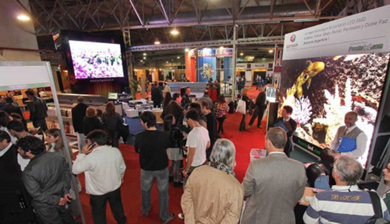 Inside LED Light Malaysia : B2B Key Insights - 3