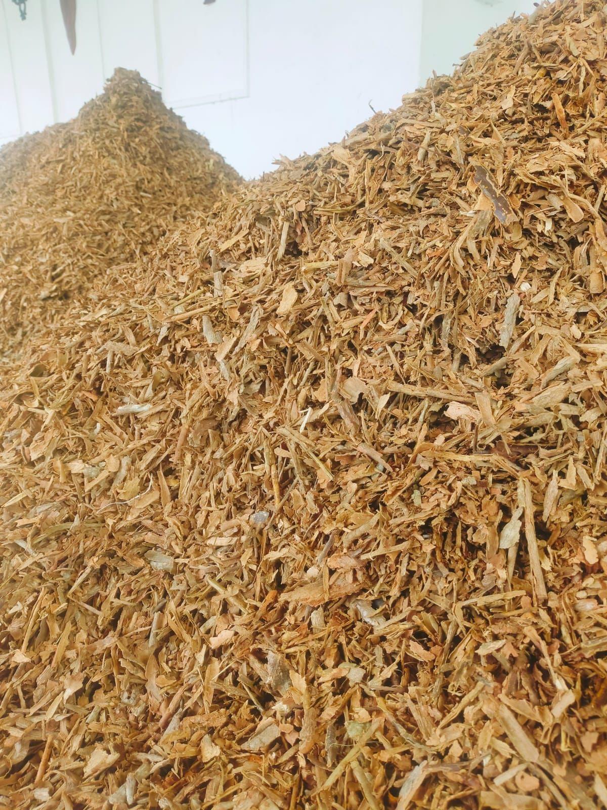 Ceylon Cinnamon Chips