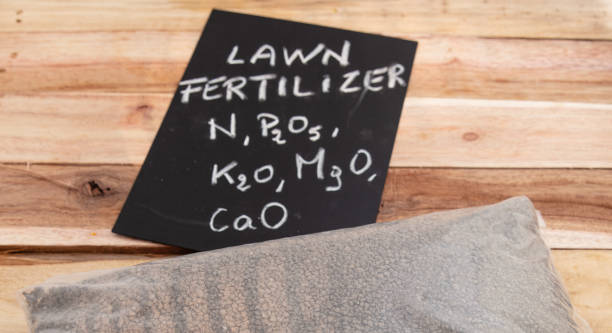 Your Expert Guide to Procuring Top-Tier Fertilizers: Top 4 Fertilizers Suppliers in Poland in Quarter 3 of 2025