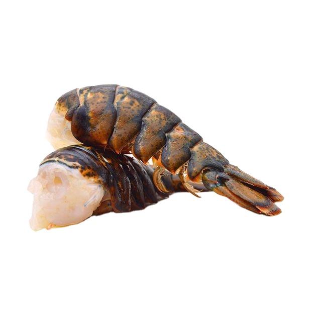 Frozen Fresh Jumbo Size Live Rock Lobster Green Lobster with Whole Tail in Box Cooked and Dried Styles for Food