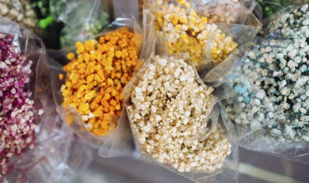 Top 7 Dried Flowers Suppliers in China in Year 2025