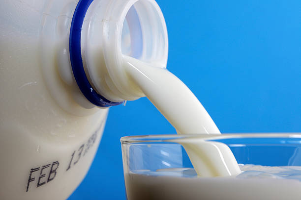 Top 7 Milk Suppliers in Kenya in August 2025: Insights into a Rapidly Evolving Market