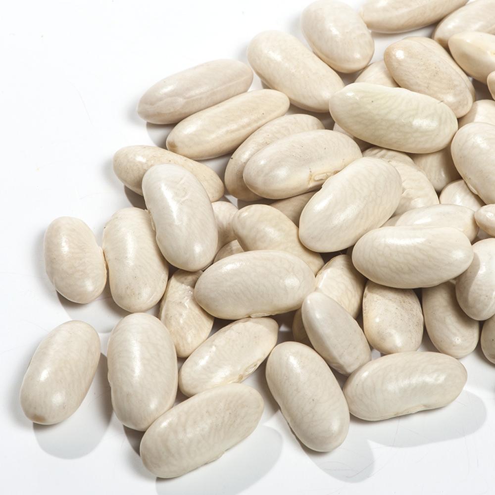White Kidney Beans Rich Protein Source Prepared For International Distribution With Reliable Packaging