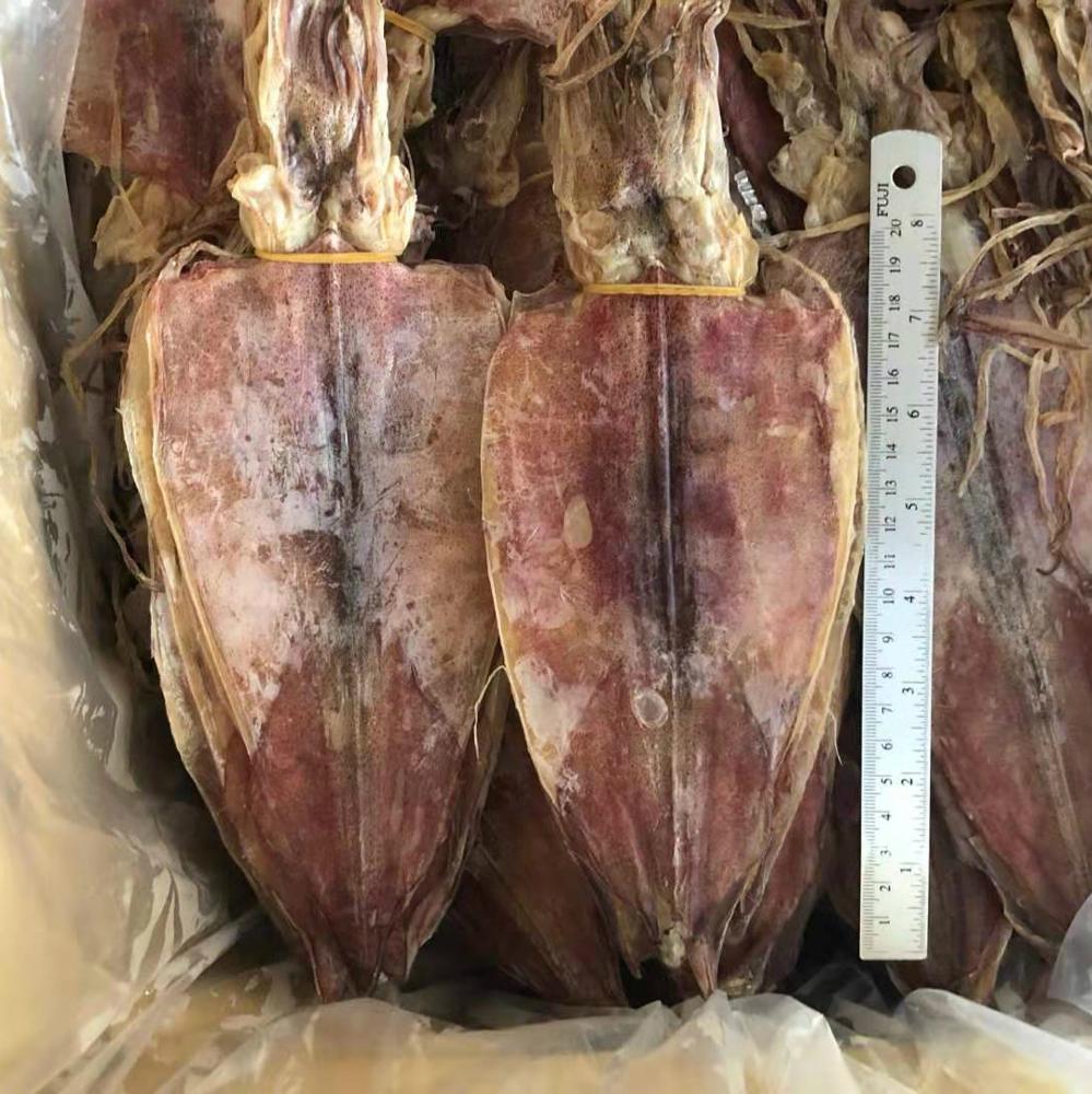 Best Selling Quality Dried Squid from Vietnam Sea Dried Squid With Cheapest Price Asia Cuttlefish