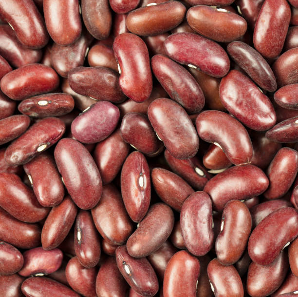 Top 3 Kidney Beans Suppliers in Malaysia in August 2025