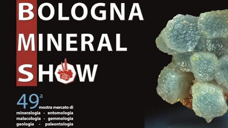 BOLOGNA MINERAL SHOW / BIJOUX EXPO Spotlight: B2B Essentials