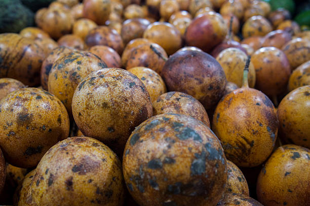 Top 5 Passion Fruit Suppliers in Brazil in Year 2025