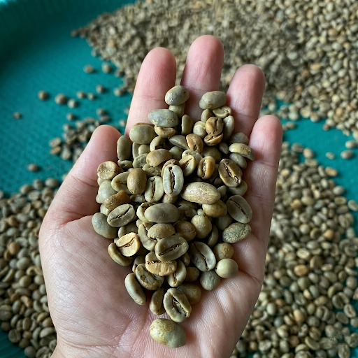 Green Beans Coffee