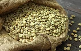Discover the Top 7 Arabica Coffee suppliers in Kenya - 3