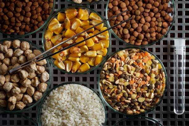 Your Expert Guide to Procuring Top-Tier Food: Top 3 Food Suppliers in Malaysia in August 2025