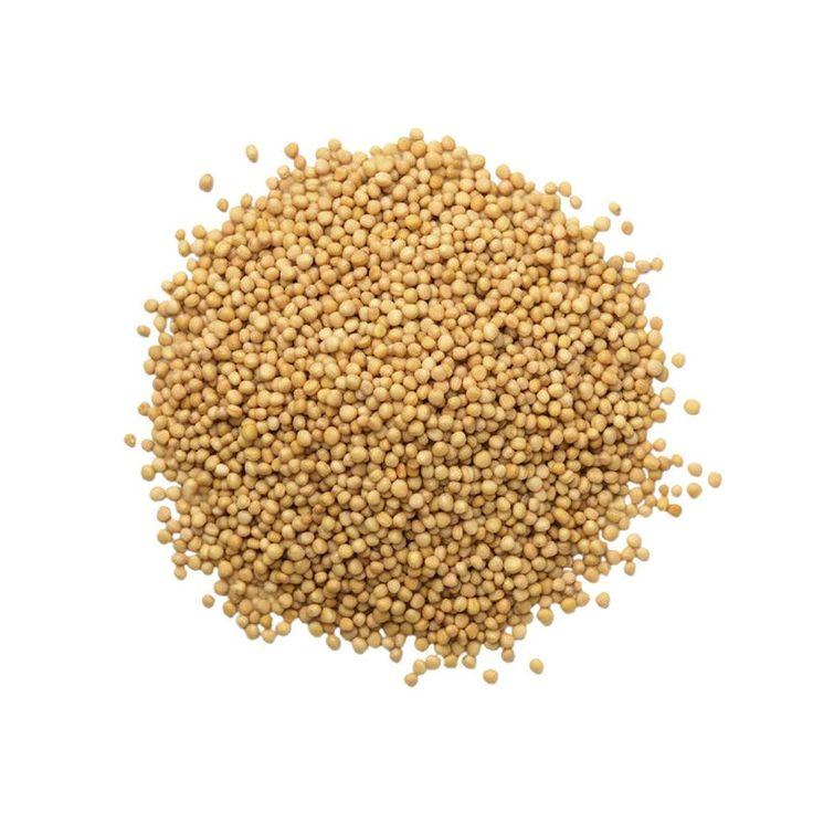 Premium Wholesale Mustard Seeds Supplier | High Purity Natural Yellow & Black Mustard Seeds for Oil Extraction, Spice Processing, Food Manufacturing, Condiment Production, and Global Bulk Export with Custom Packaging Solutions