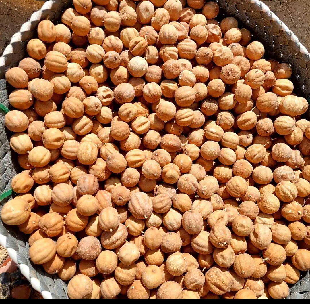 Dried Yellow Lemon Packaging 25kg Place of Origin