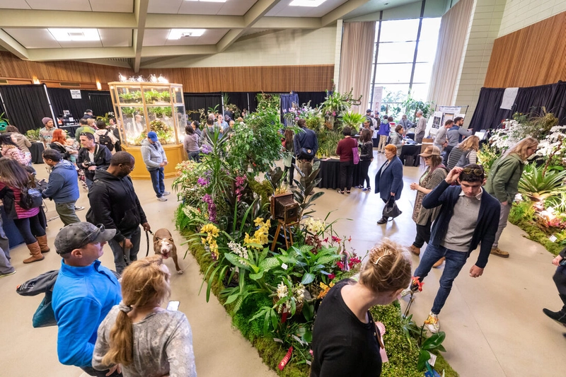 Unlock Pacific Orchid Exposition: Must-Know B2B Event - 1