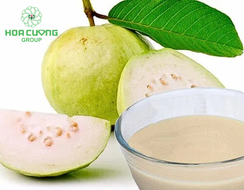 Concentrated Quava Juice Place of Origin Viet