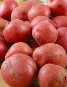 New Crop Potato Fresh Normal Potato Wholesale Fresh Potato.Customize Fresh Potato Chips Production Line