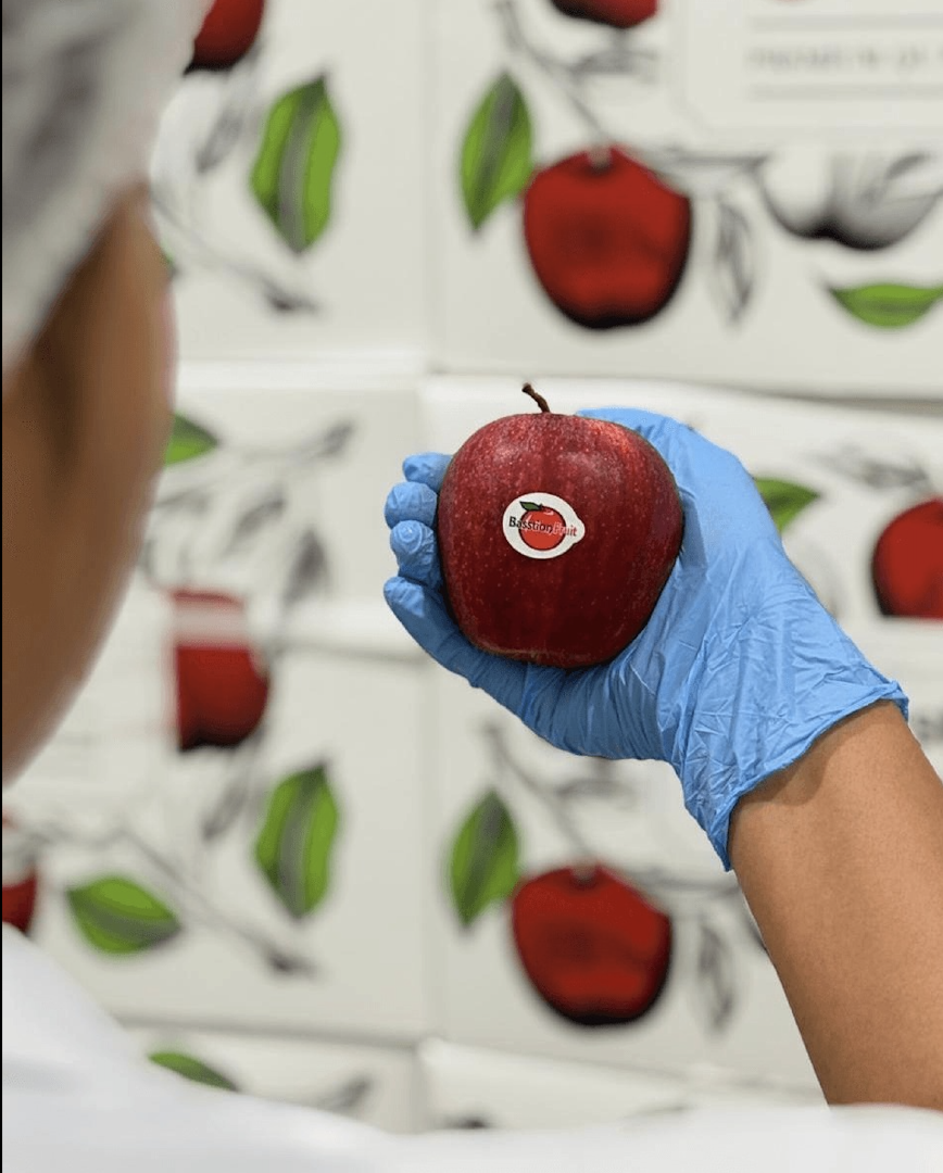 BEST RED APPLES BRAND WITH SWEET JUICY PROFILE BASSTION 13Kg FRESH RED APPLES