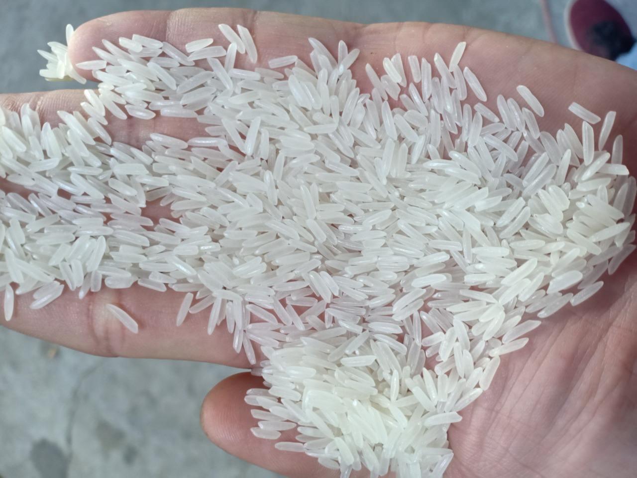 Jasmine Rice High Quality Best Price From Thailand/Long Grain Rice Super Jasmine Rice