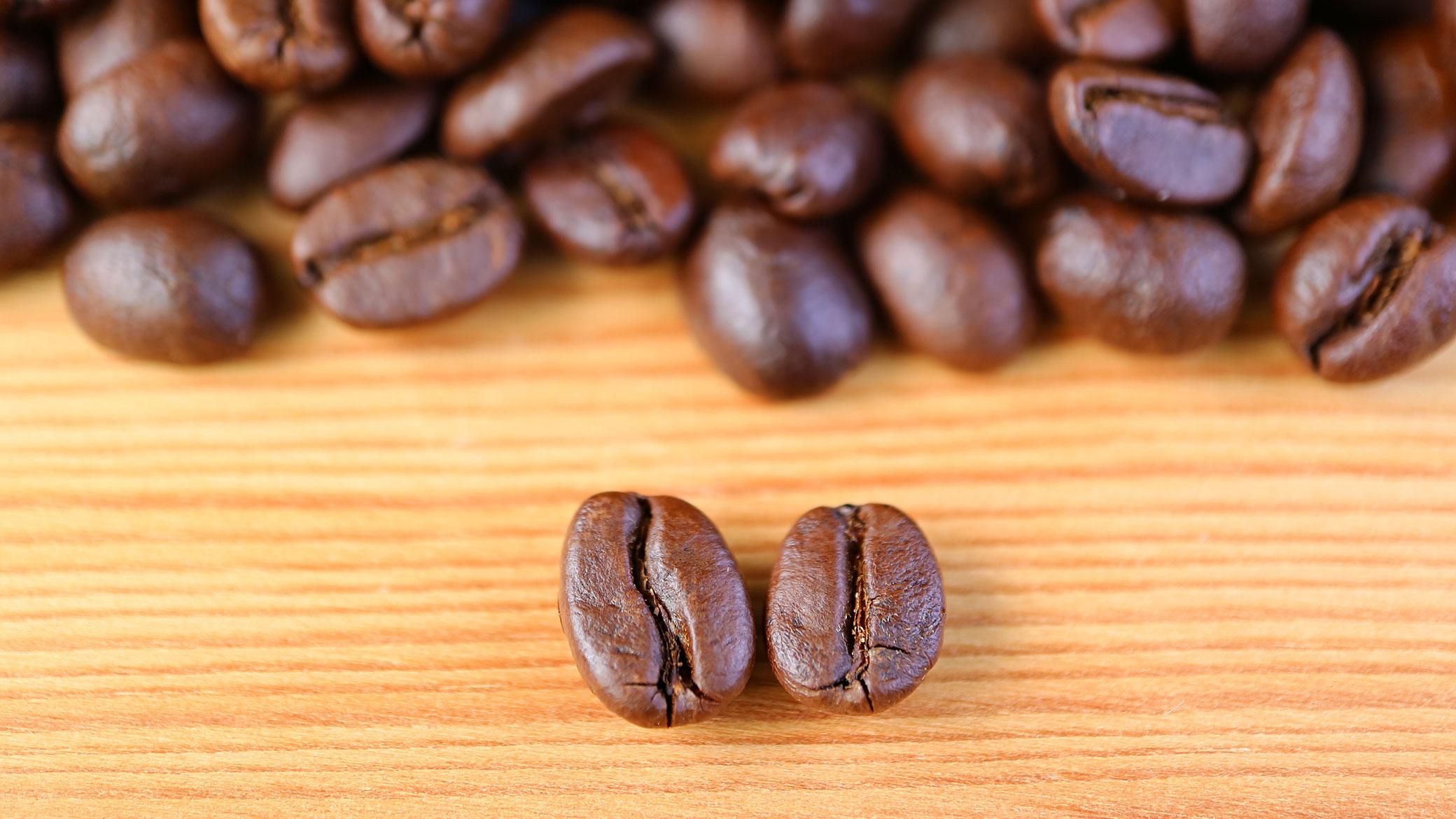 Robusta Green Coffee / Robusta Coffee Beans On Sale wholesale supply Ethiopian Arabica Coffee Beans/ green beans coffee