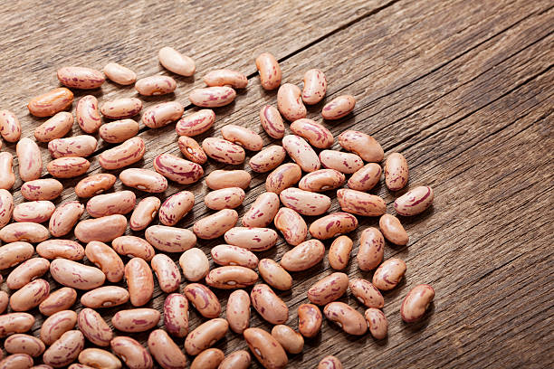 Your Expert Guide to Procuring Top-Tier Bean: Top 8 Bean Suppliers in Indonesia in Quarter 3 of 2025