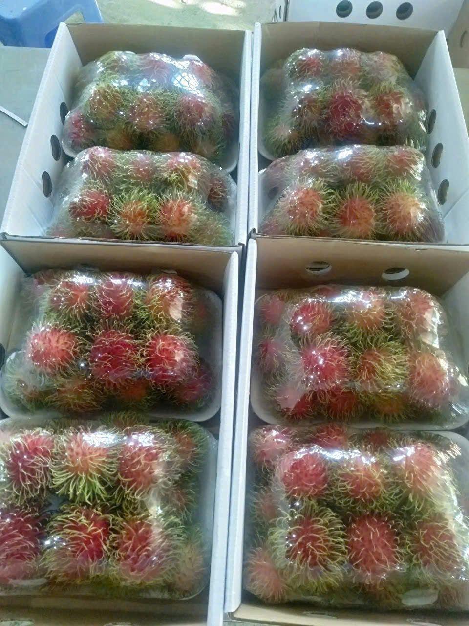 Rambutan display crate