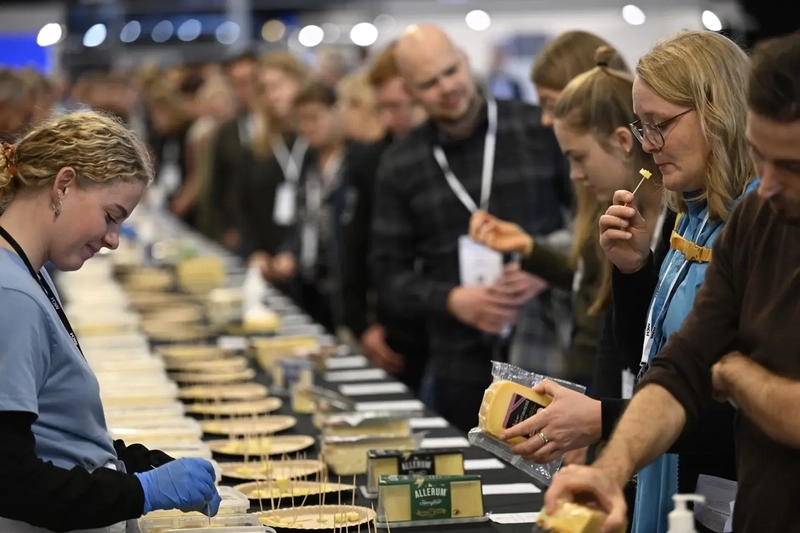 Inside International Food Contest : B2B Key Insights - 2