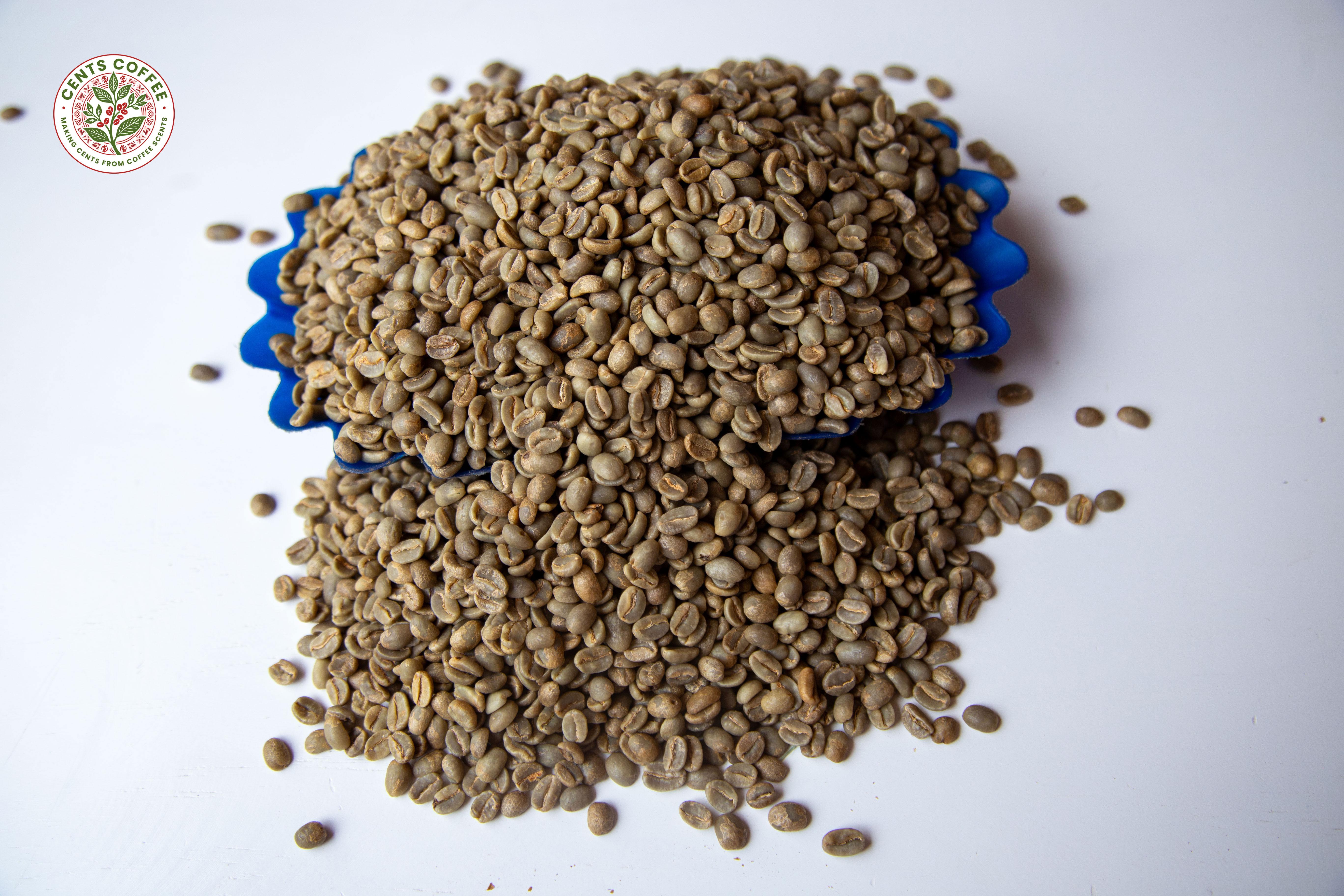 ARABICA COFFEE BEANS Organic No Decaffeinated No Bean Type Arabica Degree of Processing Raw